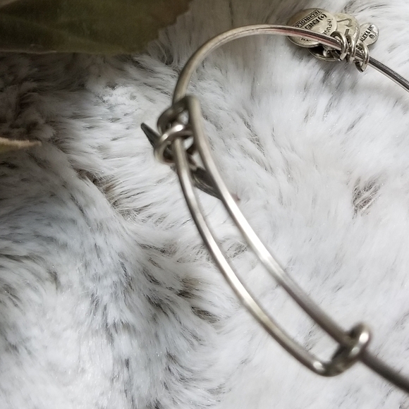 Alex And Ani Seashell Positive Energy Technology Bangle Bracelet - Picture 4 of 7